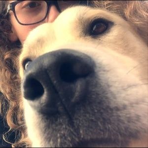 Meet your Posher, Kyrstin